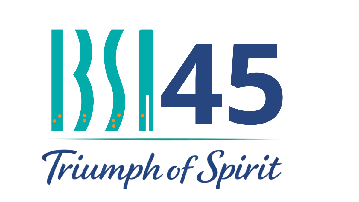 Ville de Schiltigheim